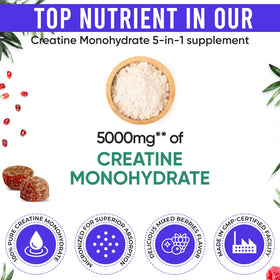 Dos de la bouteille de gummies Adndale montrant les ingrédients