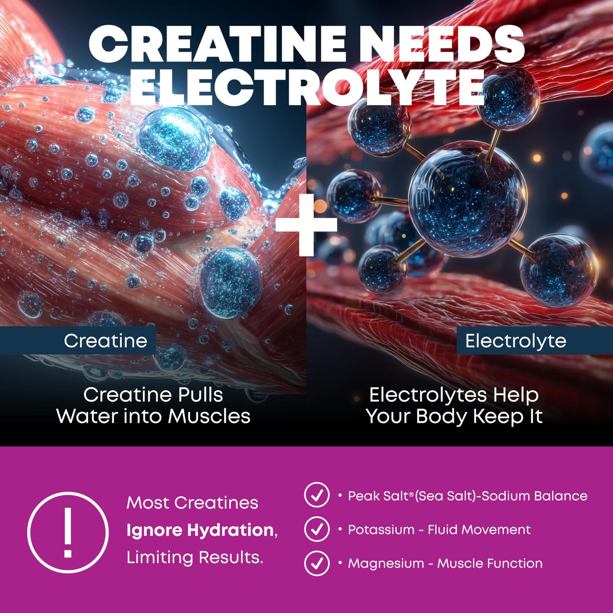 Dos de la poudre de créatine monohydrate avec informations nutritionnelles