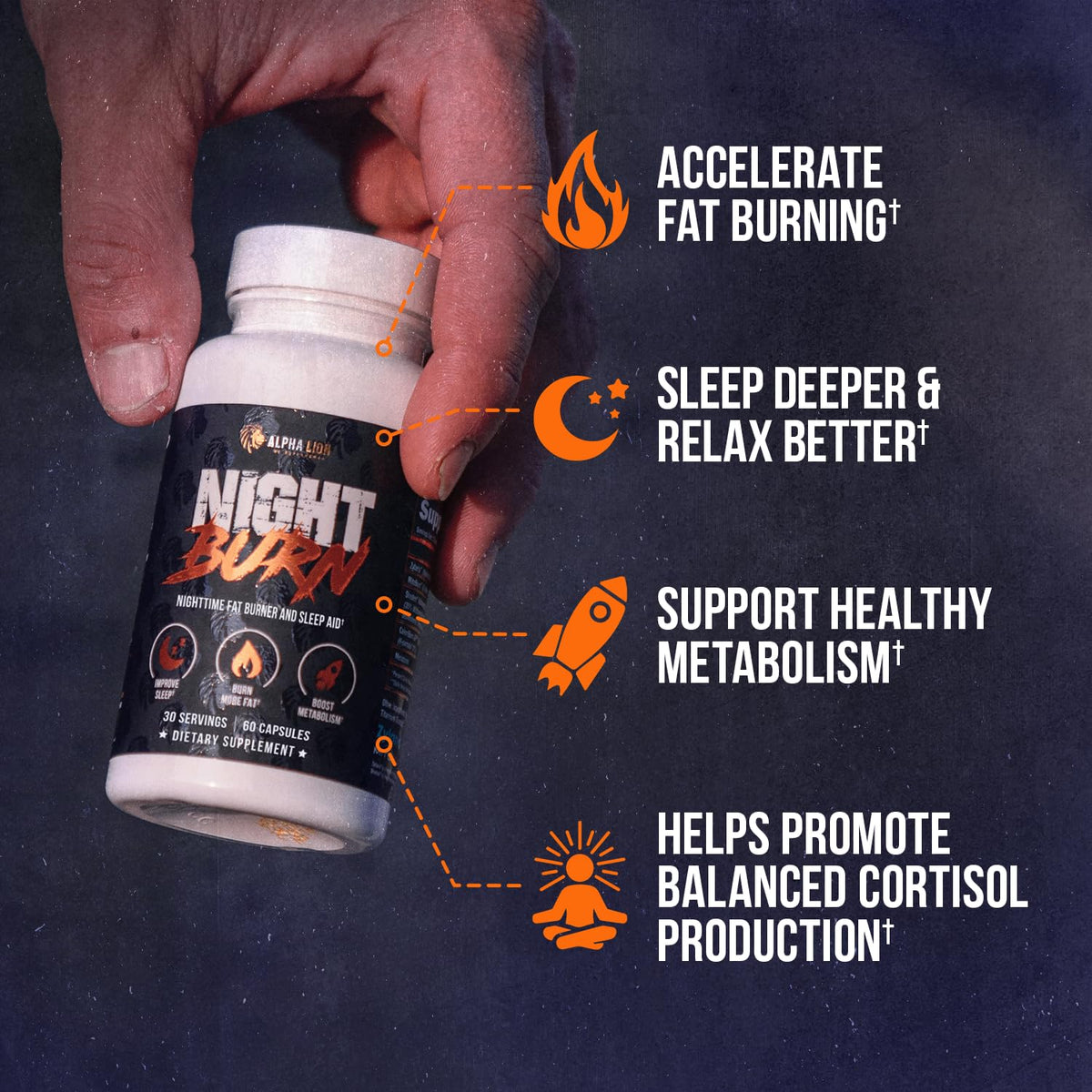 Dos du flacon ALPHA LION Night Burn avec informations nutritionnelles