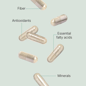 Dos du flacon de capsules de cactus Nopal Santo Remedio