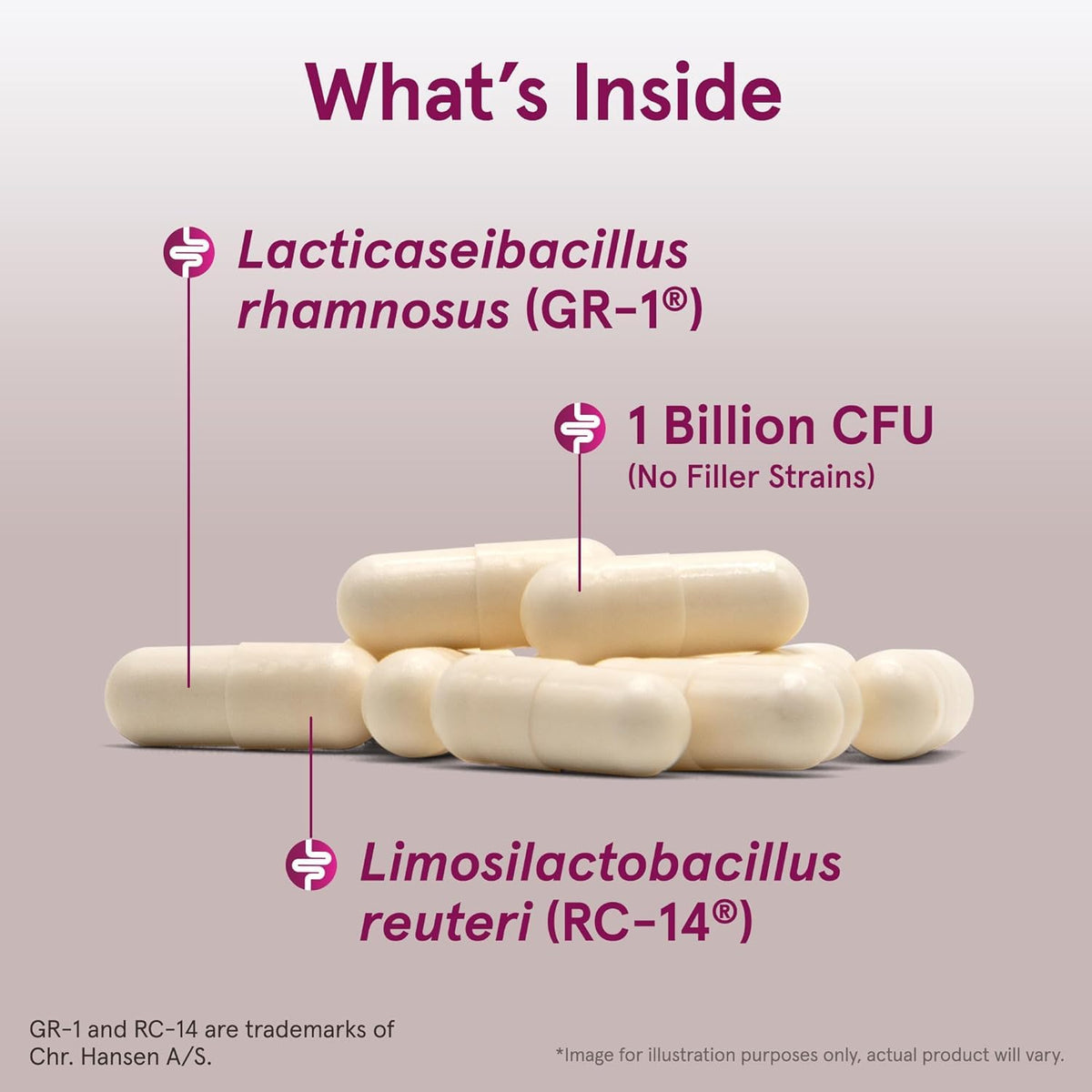 Dos du flacon Jarrow Formulas Fem-Dophilus montrant les ingrédients