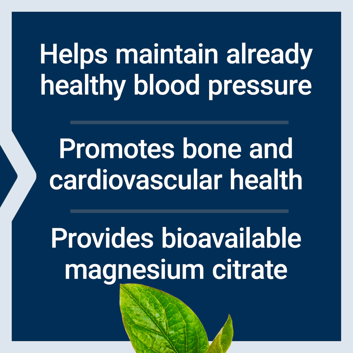 Dosage de 100 mg par capsule de Magnésium Citrate Life Extension