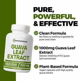 Dosage de gélules d'extrait de feuille de goyave 1000mg