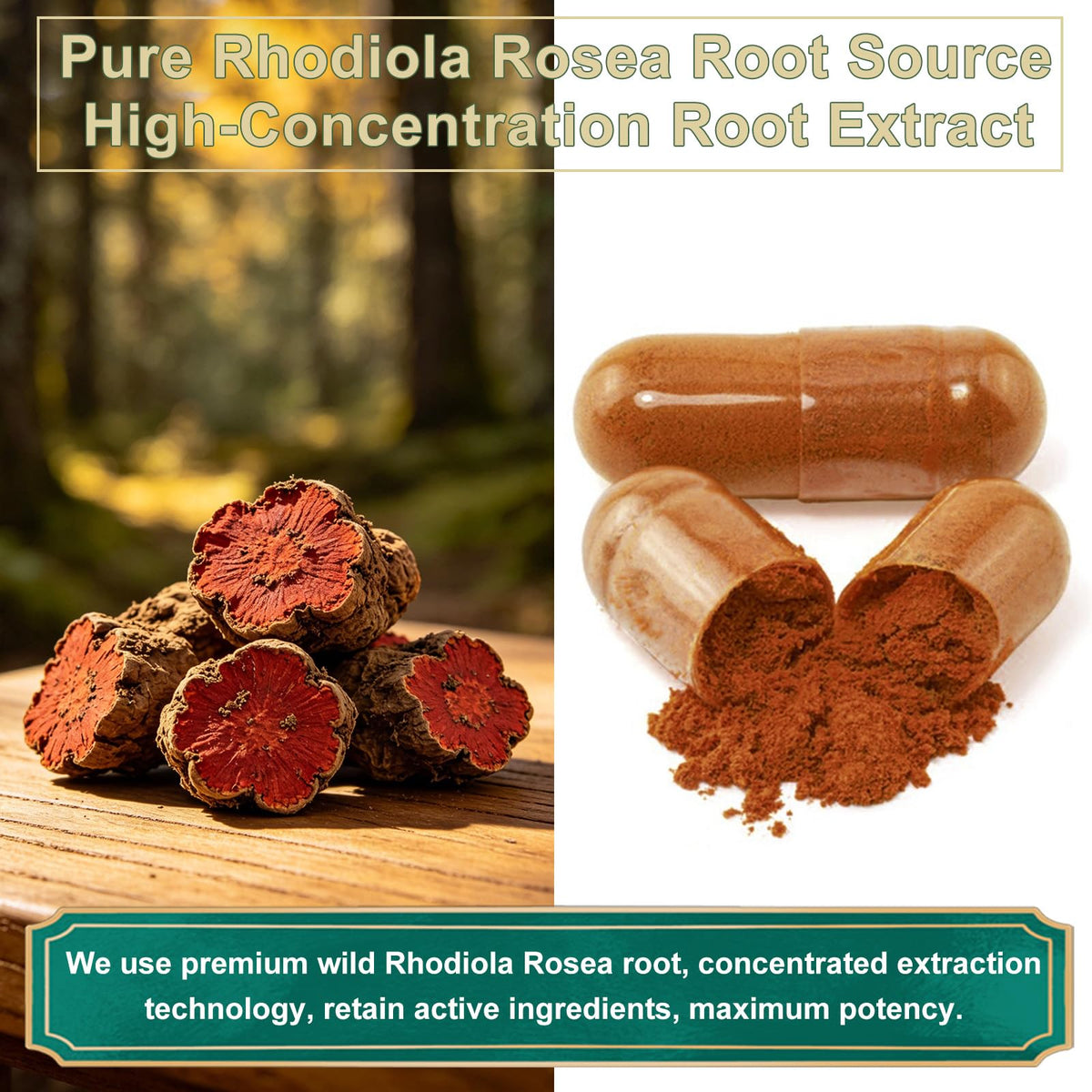Dosage de StressXcel Rhodiola Rosea, 500 mg par capsule