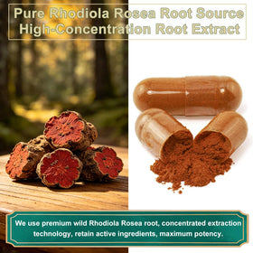 Dosage de StressXcel Rhodiola Rosea, 500 mg par capsule