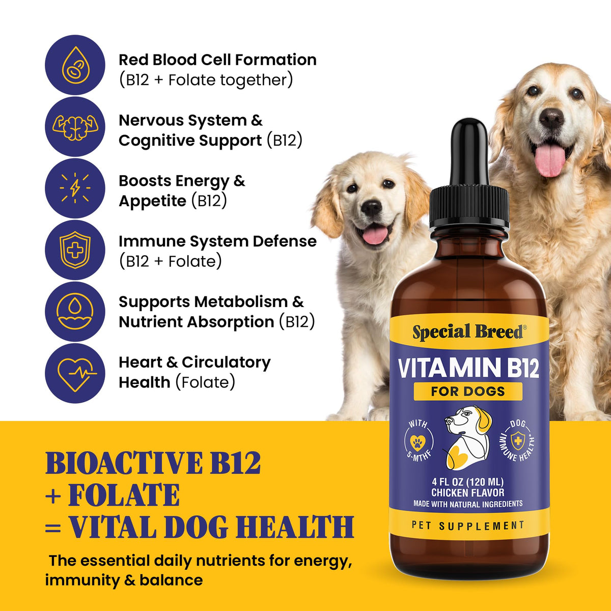 Dosage de vitamine B12 liquide Special Breed dans une cuillère