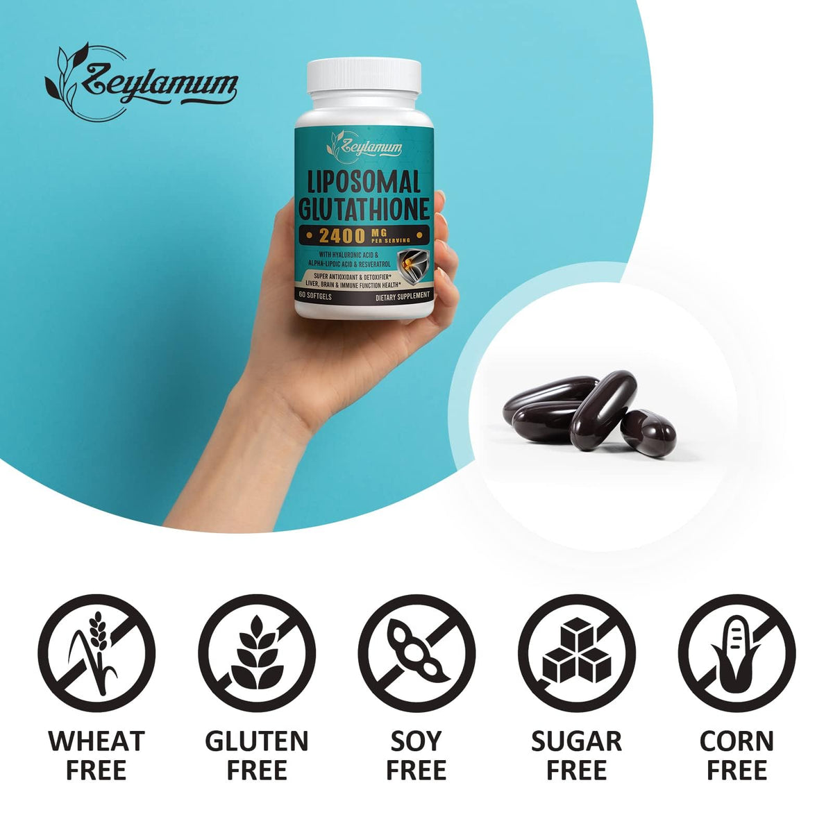 Dosage de Zeylamum Glutathion Liposomal 2400 MG sur une cuillère