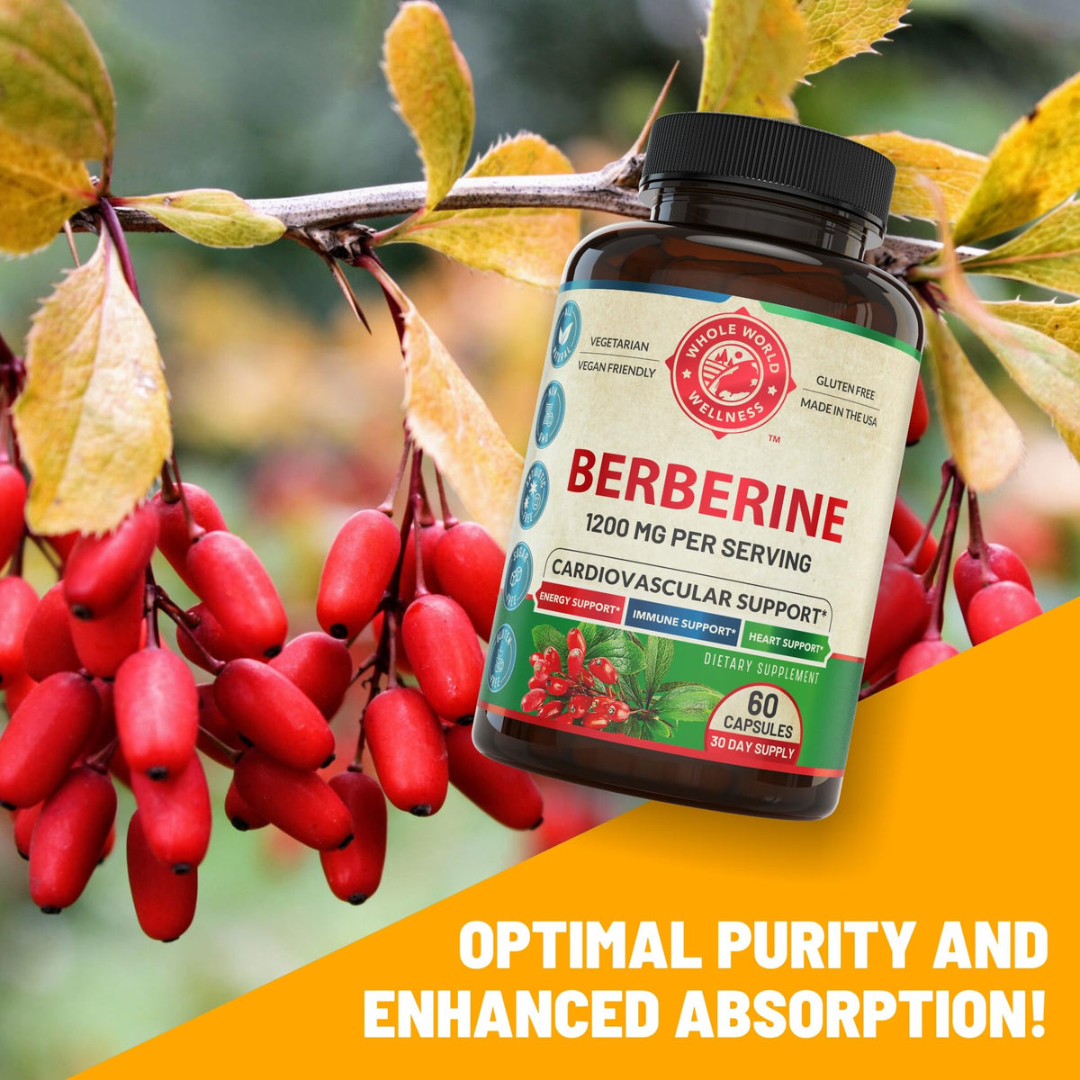 Dosage des capsules de berbérine 1200mg, 60 capsules