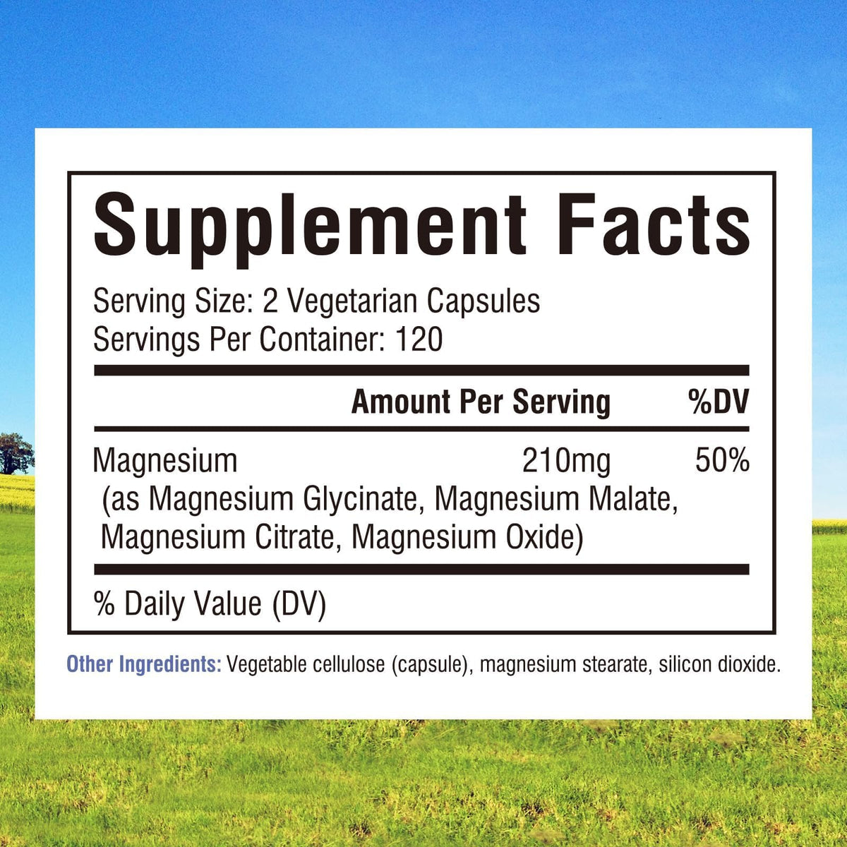 Dosage des capsules de magnésium Innate Vitality