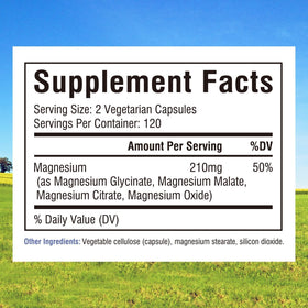 Dosage des capsules de magnésium Innate Vitality