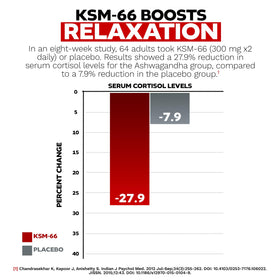 Dosage des capsules KSM-66 Ashwagandha 300mg