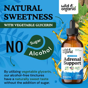Dosage des gouttes de soutien surrénalien Wild & Organic