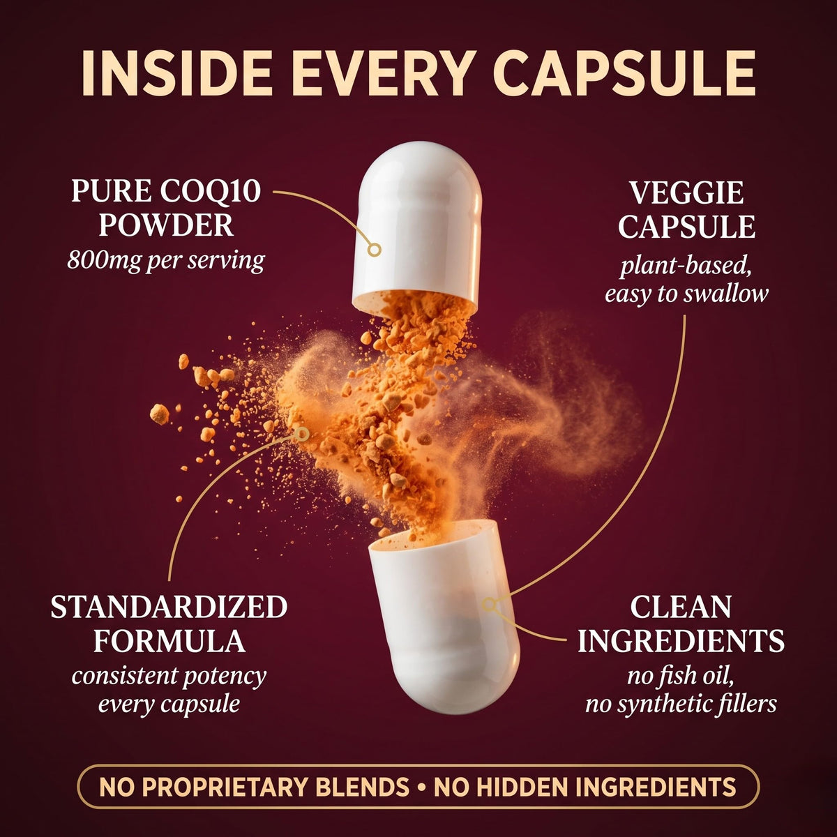 Dosage recommandé de 2 capsules de CoQ10 800mg de Sundhed Natural