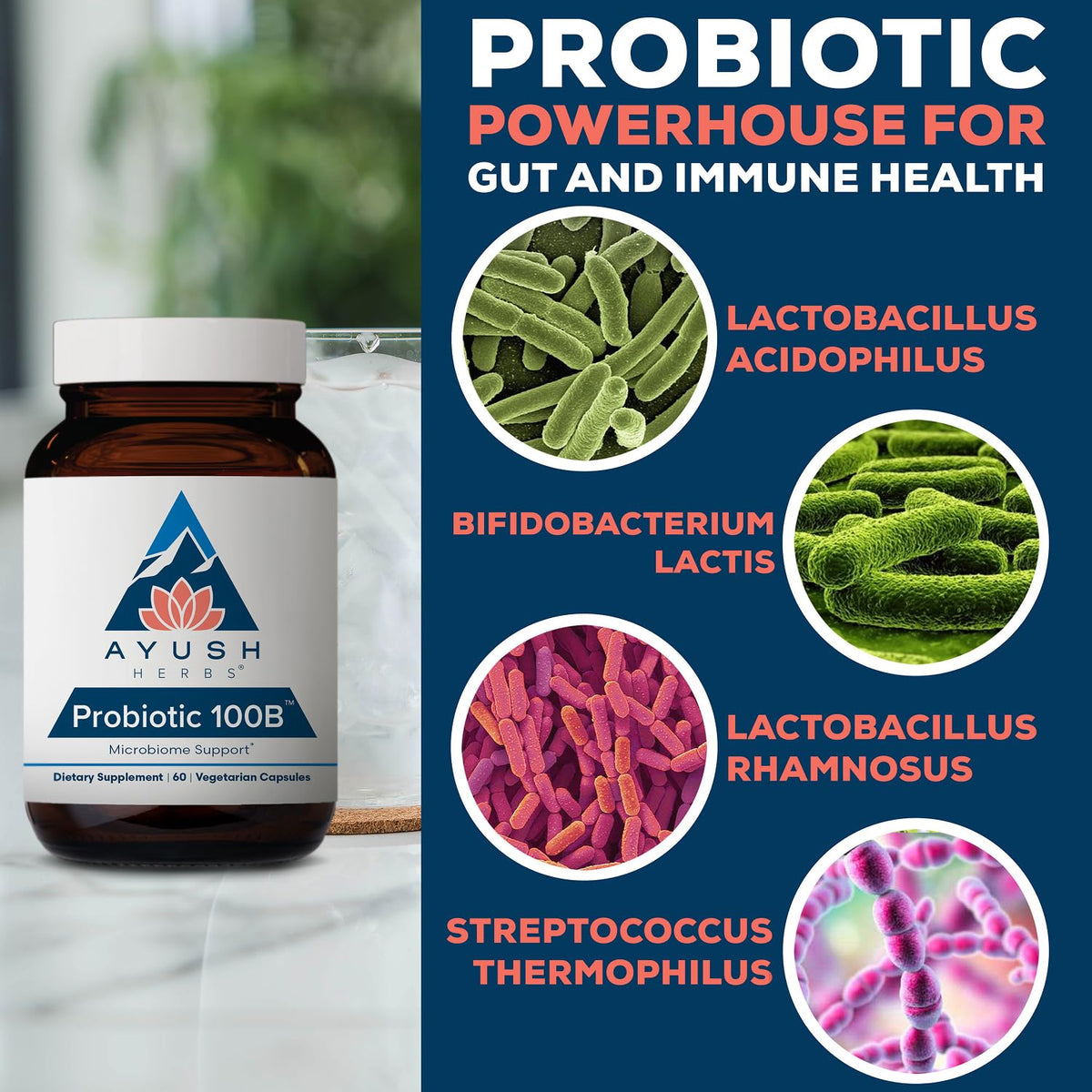 Dosage recommandé des capsules Ayush Herbs Probiotic 100B