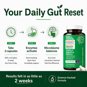 Dosage recommandé des capsules probiotiques Kombucha dose + remedy