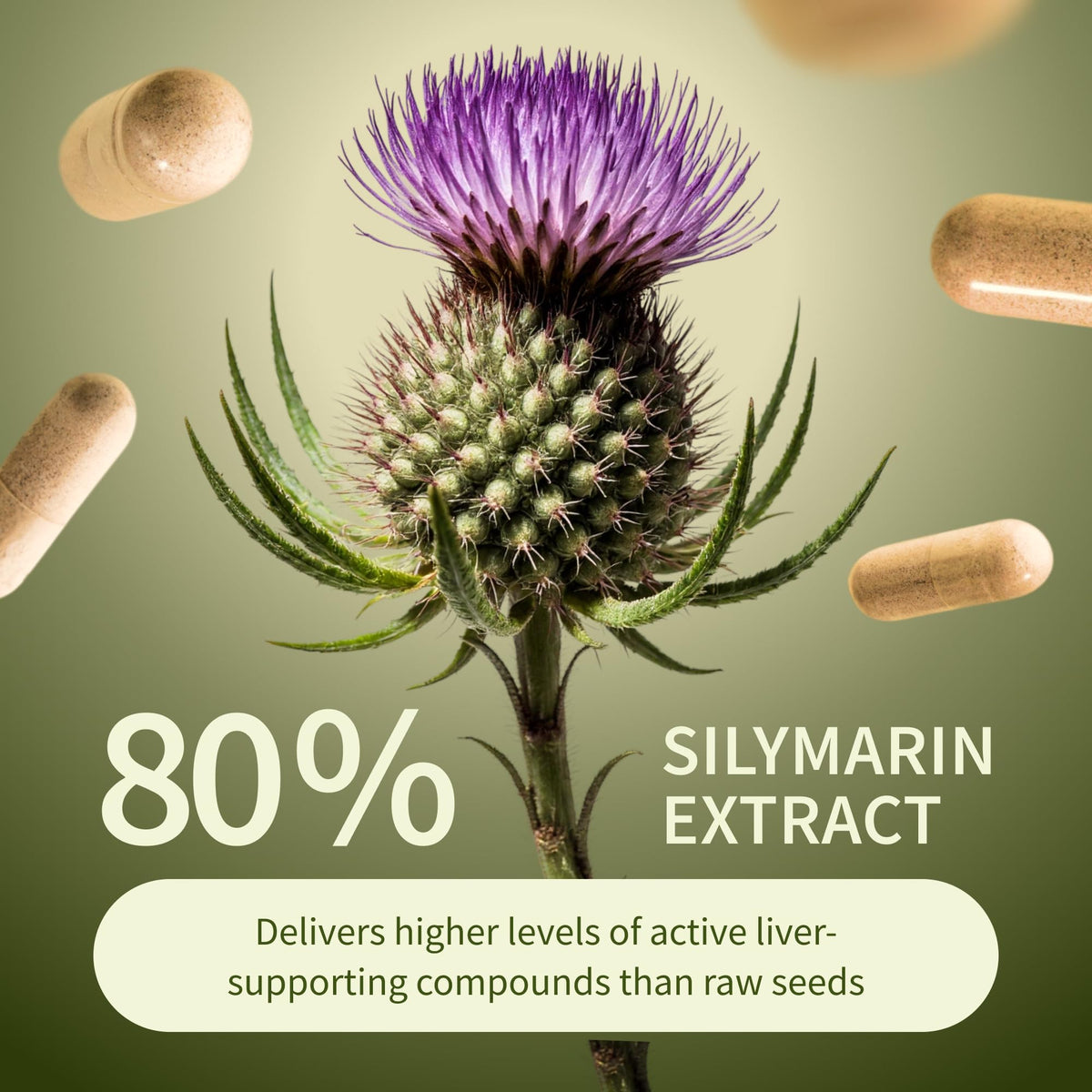 Dosage recommandé des capsules Snap Supplements