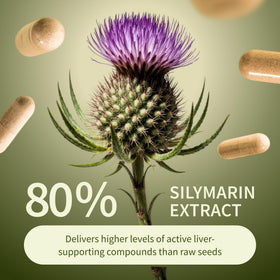 Dosage recommandé des capsules Snap Supplements