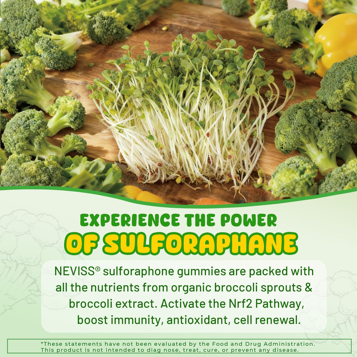 Dosage recommandé pour gommes de sulforaphane NEVISS