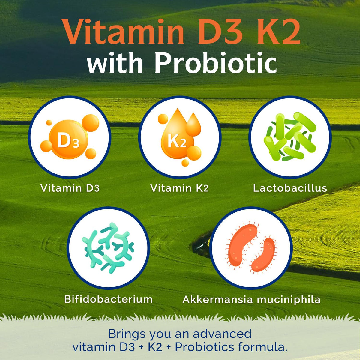 Dosage recommandé pour Innate Vitality D3 K2 10000IU