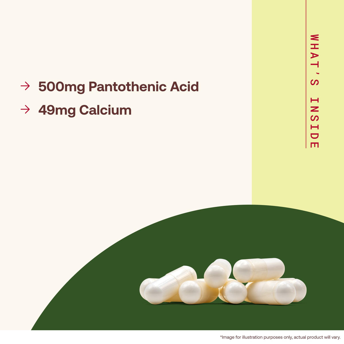 Dosage recommandé pour Jarrow Formulas Acide Pantothénique B5 500mg