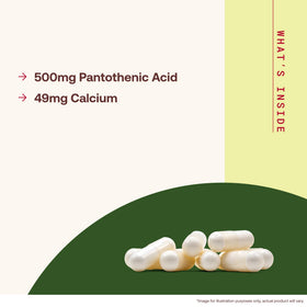 Dosage recommandé pour Jarrow Formulas Acide Pantothénique B5 500mg
