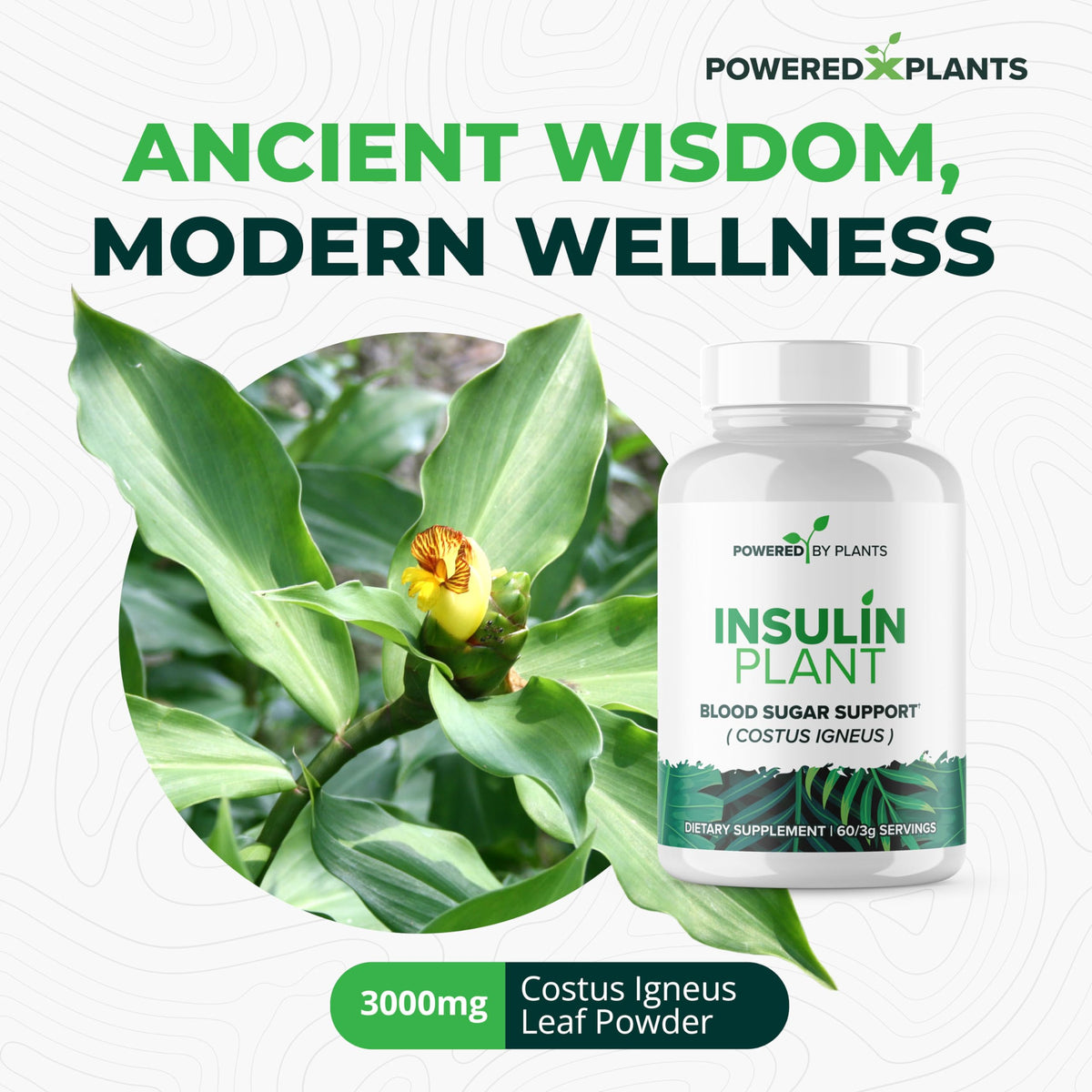 Dosage recommandé pour les capsules de plantes insuline