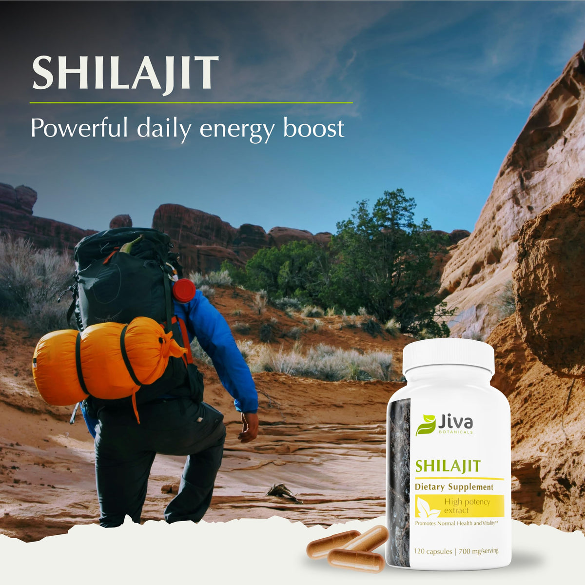 Dosage recommandé pour les capsules Jiva Botanicals Shilajit