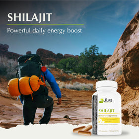 Dosage recommandé pour les capsules Jiva Botanicals Shilajit