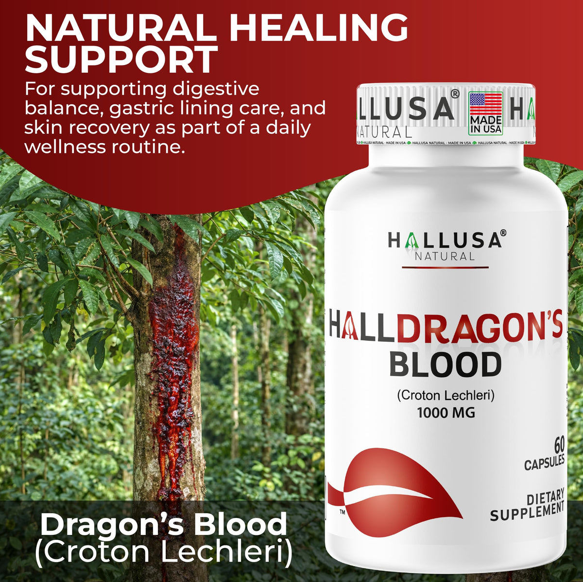 Dosage recommandé pour les capsules Sangre de Drago Hallusa Natural