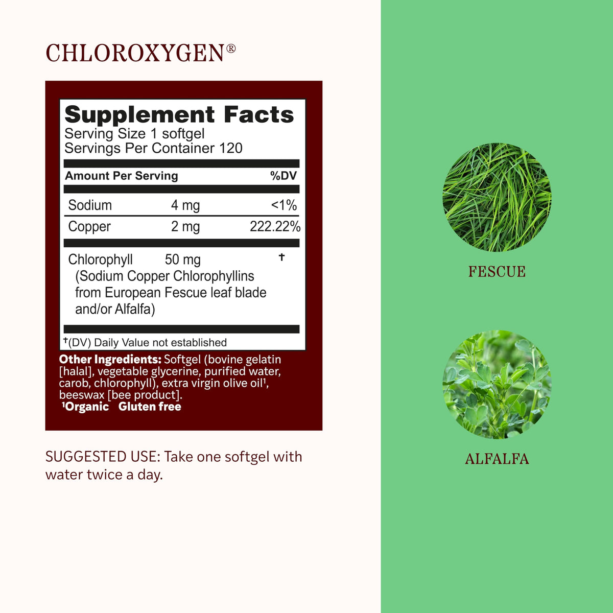 Dosage recommandé pour les gélules de chlorophylle ChlorOxygen