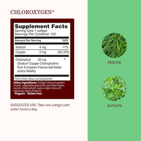Dosage recommandé pour les gélules de chlorophylle ChlorOxygen