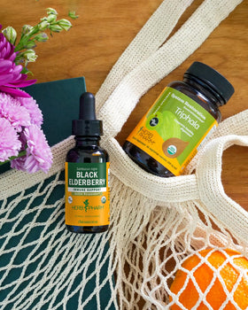 Doses d'extrait de baies de sureau noir Herb Pharm dans un verre