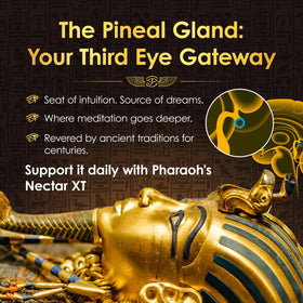 Doses de Nectar de Pharaon XT 24K Ormus avec pipette