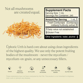 Doses de teinture de champignon Cordyceps dans une cuillère