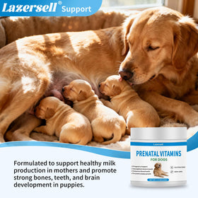 Dosette de vitamines prénatales pour chiens sur fond blanc