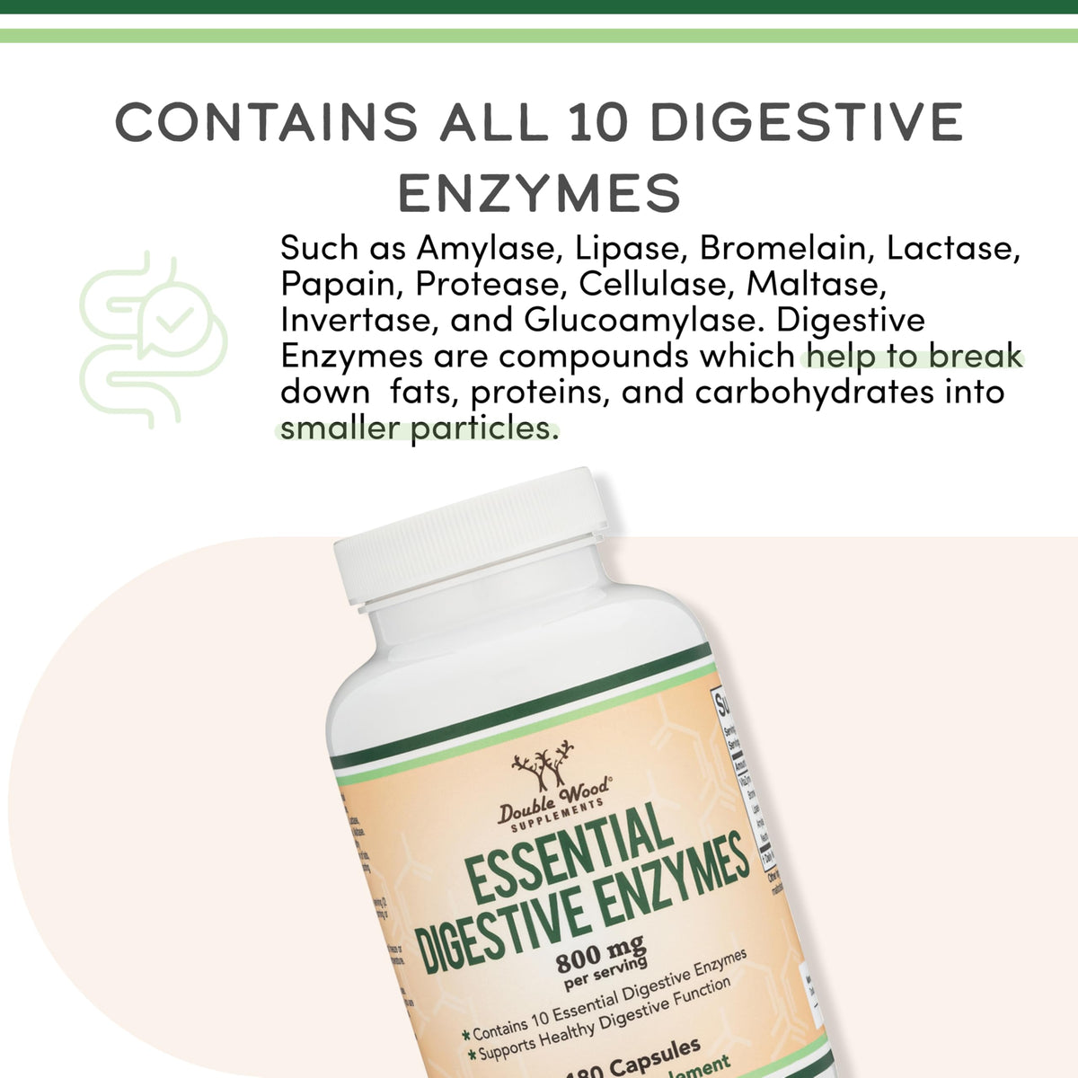 Double Wood Supplements Enzymes daily 800mg arrière