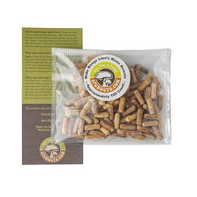Dowel Spawn Hericium Erinaceus 100 unités vue avant