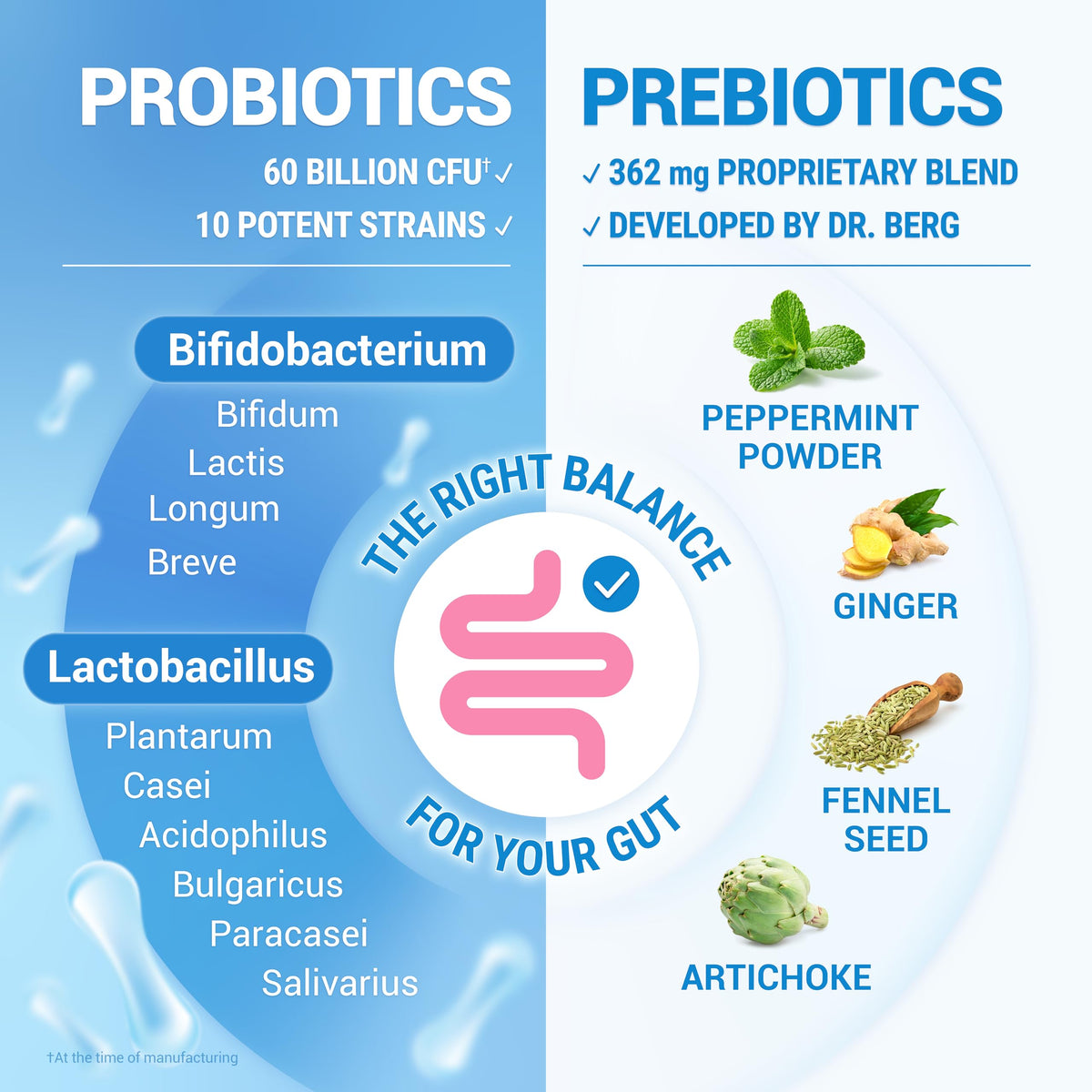Dr. Berg Probiotique 60 capsules avec un verre d'eau