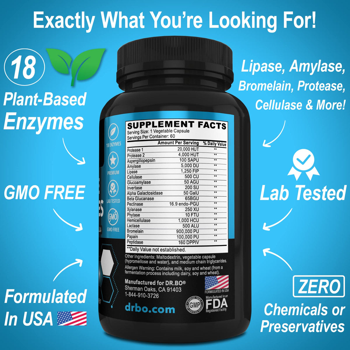 DR. BO Compléments Alimentaires Enzymes daily Végétales, mise en scène avec des ingrédients naturels