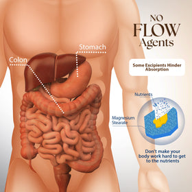 Dr Clark Store Mélange d'Armoise 330mg avec un verre d'eau