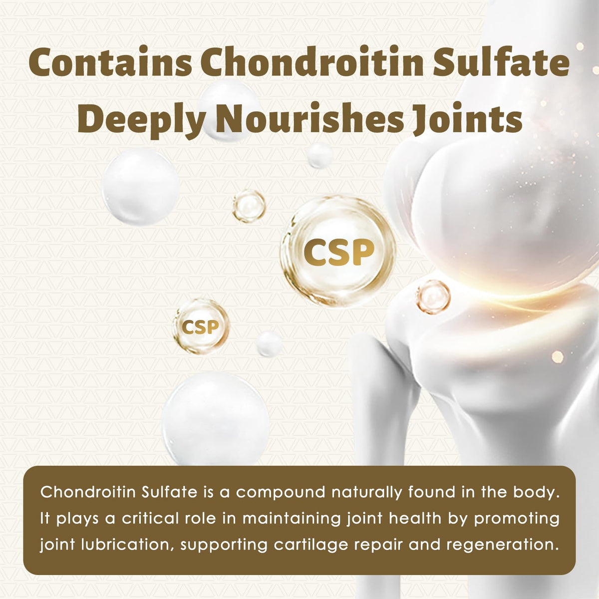 DR. CROWN chondroïtine capsules en main