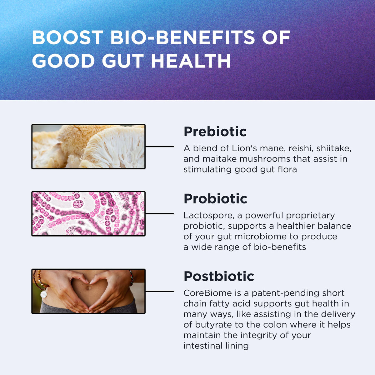 DR. EMIL NUTRITION Total Gut Complex avec des ingrédients naturels