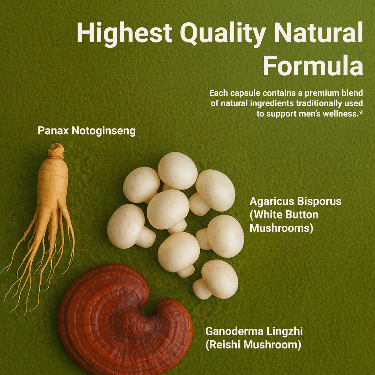 DR. HERBAL WELL Prostate Shield sur fond blanc