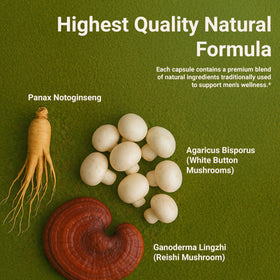 DR. HERBAL WELL Prostate Shield sur fond blanc