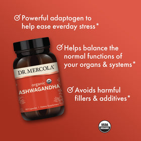 Dr. Mercola Ashwagandha Bio 800 mg 60 Capsules avec étiquette