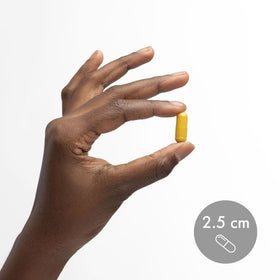 Dr. Mercola Berbérine et MicroPQQ 90 capsules ouvertes