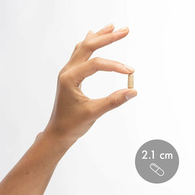 Dr. Mercola Compléments Probiotiques SBO avec un verre d'eau