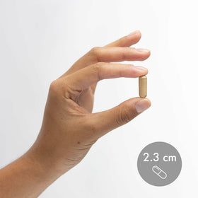 Dr. Mercola Complexe de Champignons Fermentés Bio sur une table en bois