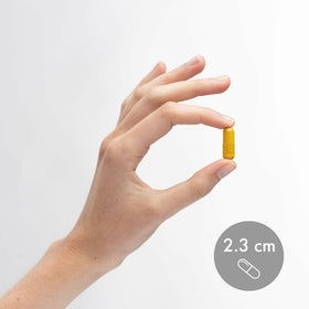 Dr. Mercola Curcuma Fermenté 370 mg 180 Capsules en contexte de vie