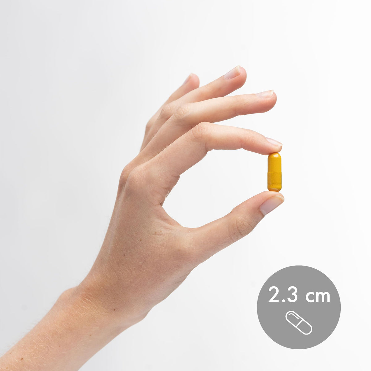 Dr. Mercola Curcuma Fermenté Bio 370 mg 60 Capsules - packaging